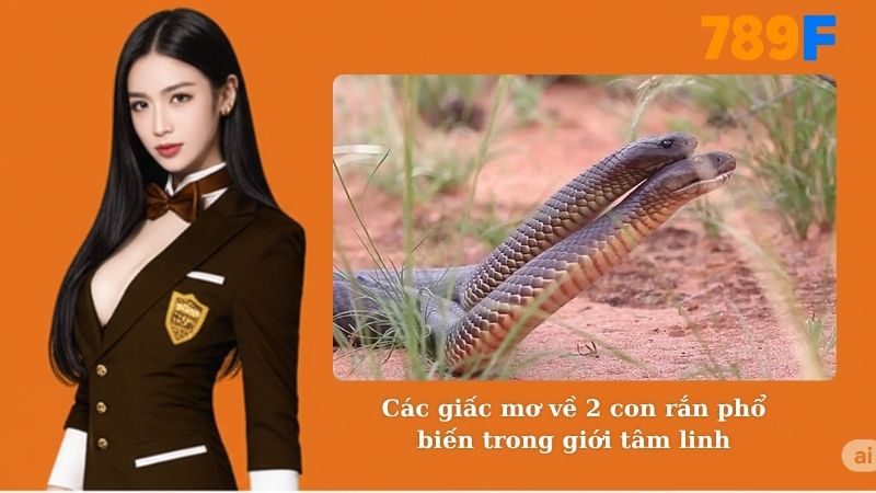 Các giấc mơ về 2 con rắn phổ biến trong giới tâm linh