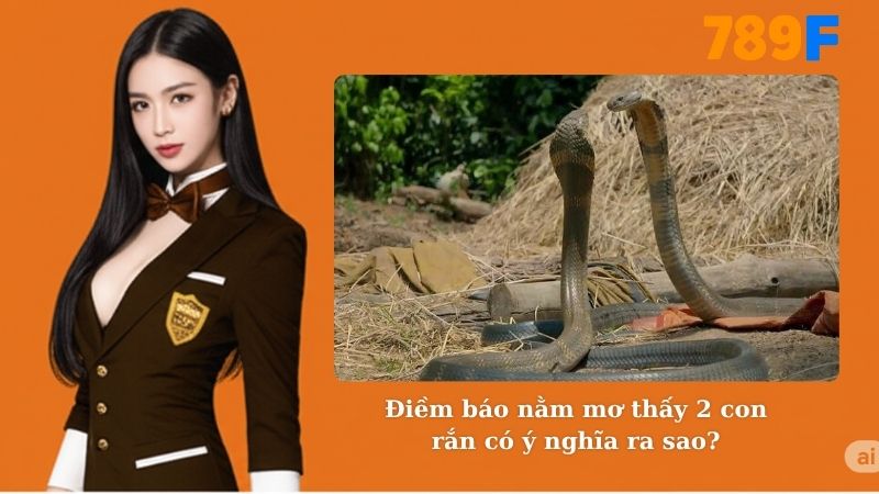 Điềm báo nằm mơ thấy 2 con rắn có ý nghĩa ra sao?