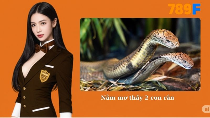 Nằm Mơ Thấy 2 Con Rắn